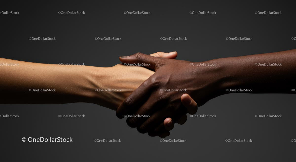 Diverse Handshake Signifying Unity and Collaboration