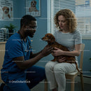 Veterinarian Examining Dachshund in Clinic Setting