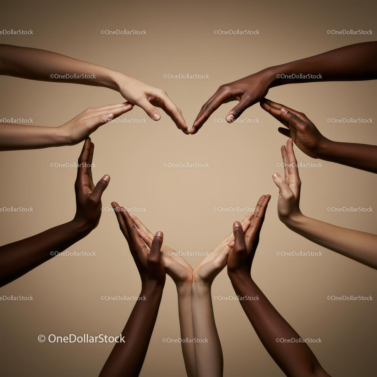 Unity and Diversity: Hands Forming a Heart Shape
