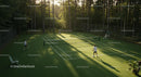 Tennis Match on Sunlit Outdoor Court Amid Tall Forest Trees