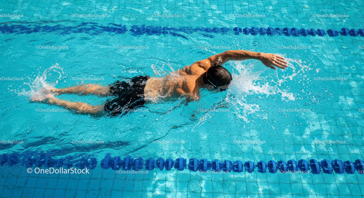 Athlete Performing Freestyle Stroke in Pool