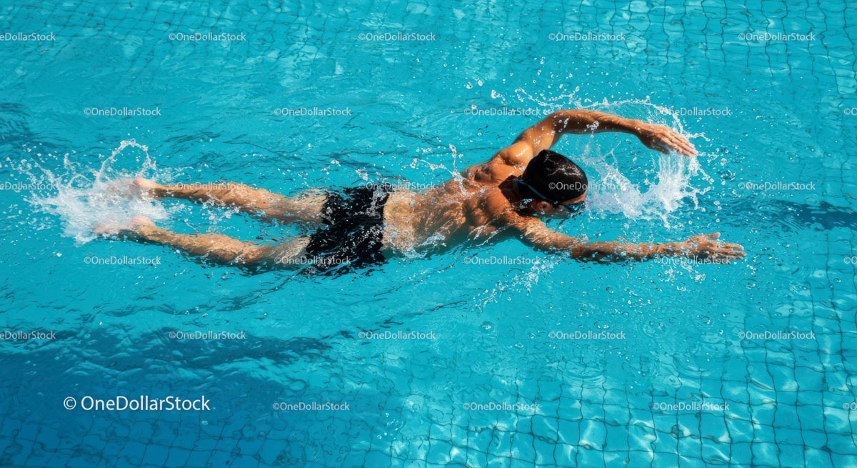 Male Swimmer Freestyle in Turquoise Pool