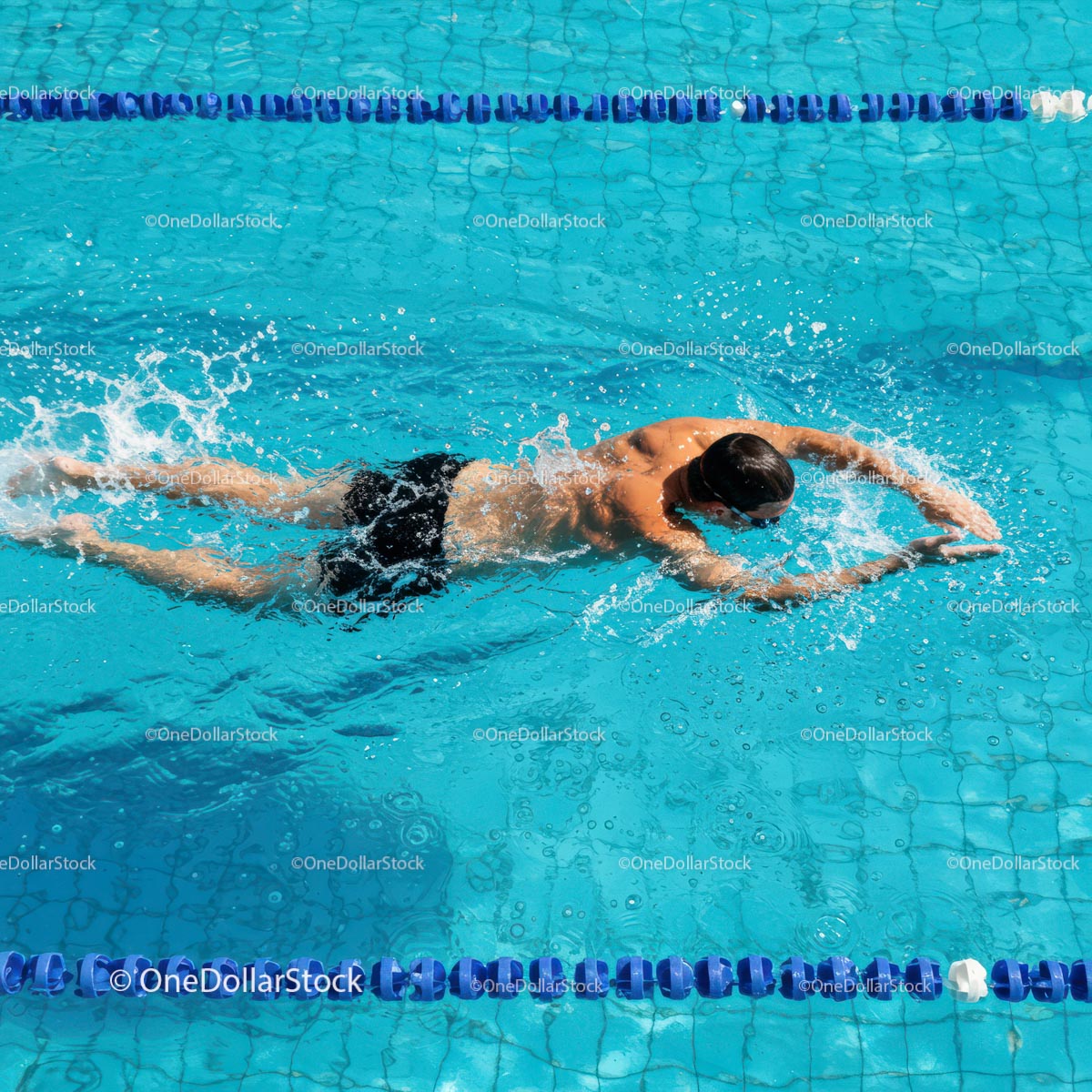 Athlete Swimming Freestyle in Outdoor Pool