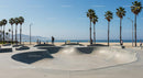 Sunny Skatepark by the Beach with Palm Trees and Ocean View