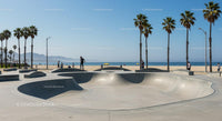 Sunny Skatepark by the Beach with Palm Trees and Ocean View