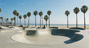 Skateboarder Enjoying Sunny Skatepark by the Beach