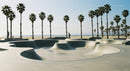 Skateboarder Enjoying Sunny Skatepark by the Beach