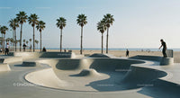 Skateboarder Enjoying Sunny Skatepark by the Beach