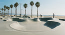 Skateboarder Enjoying Sunny Skatepark by the Beach