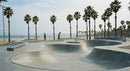 Skateboarder Enjoying Sunny Skatepark by the Beach