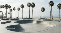 Coastal Skatepark with Tall Palm Trees and Beach View