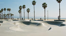 Skateboarder Enjoying Sunny Skatepark by the Beach