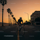Cyclist Riding through Urban Palm Tree Sunset
