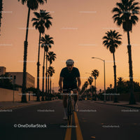 Cyclist Riding Down Palm-Lined Street at Sunset