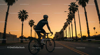 Cyclist Riding Along Palm-Lined Street at Sunset