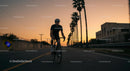 Cyclist Riding Along Palm-Lined Road at Sunset
