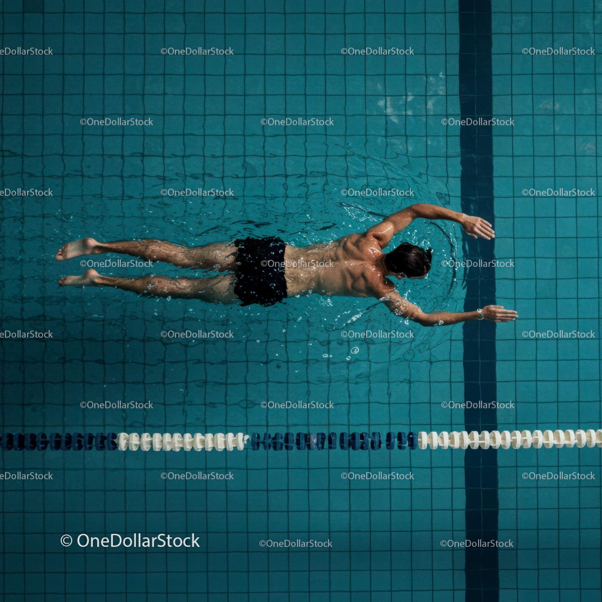 Male Swimmer Practicing Freestyle in Indoor Pool
