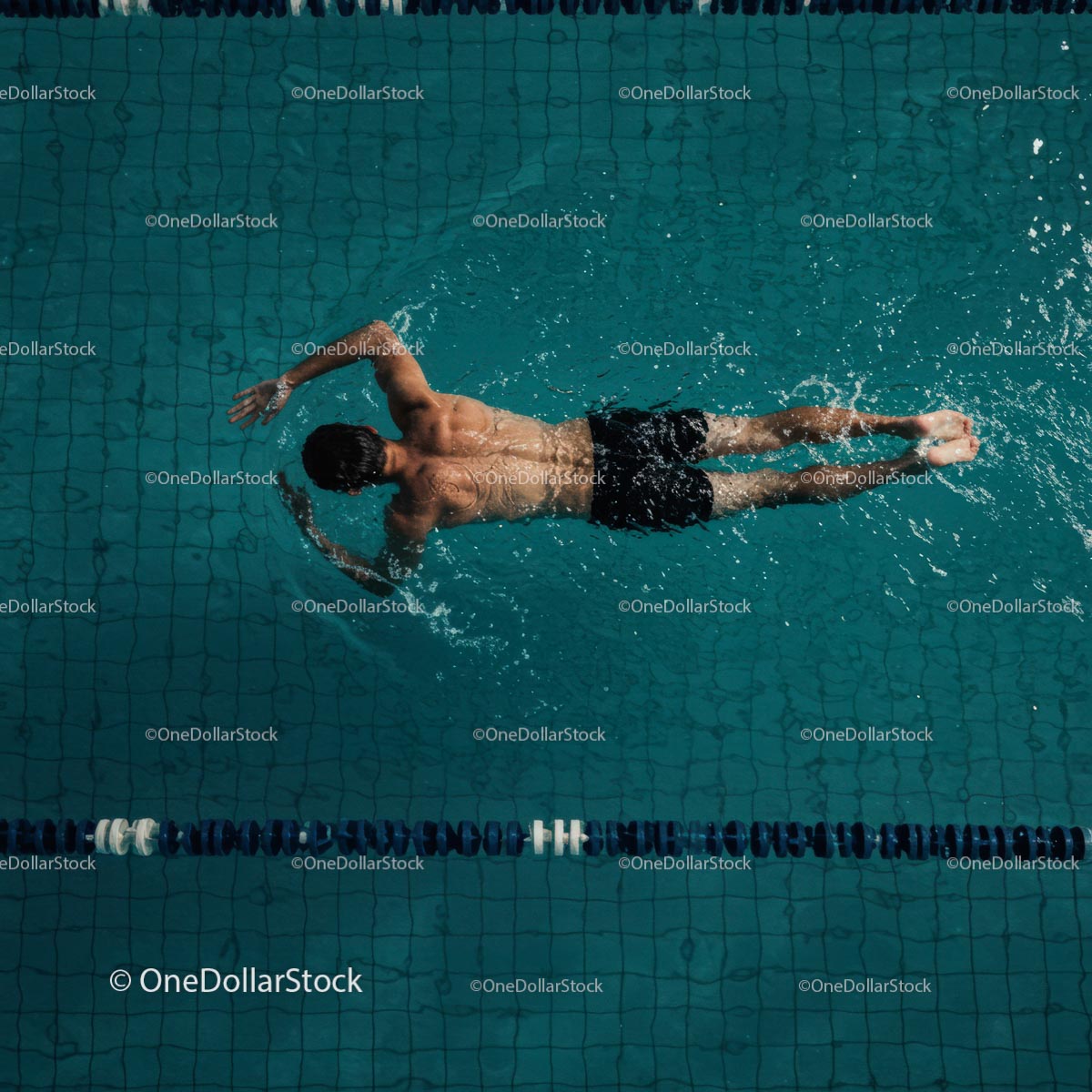 Male Athlete Freestyle Swimming in a Pool Lane