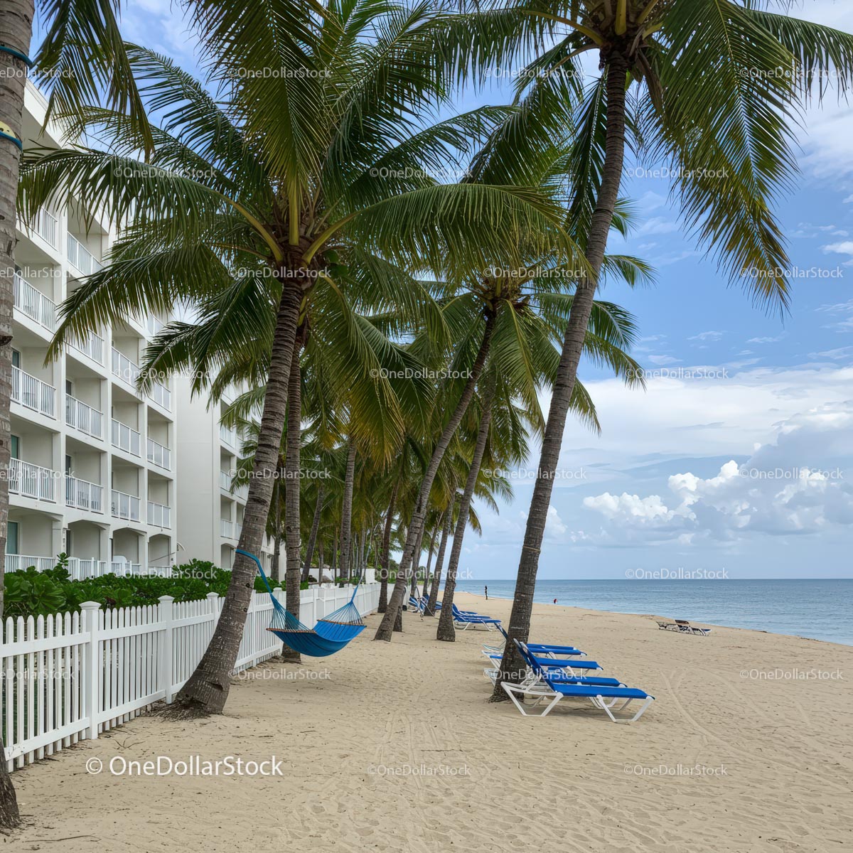 Tropical Beach with Palm Trees and Ocean View