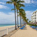 Tropical Resort with Palm Trees and Sandy Beach