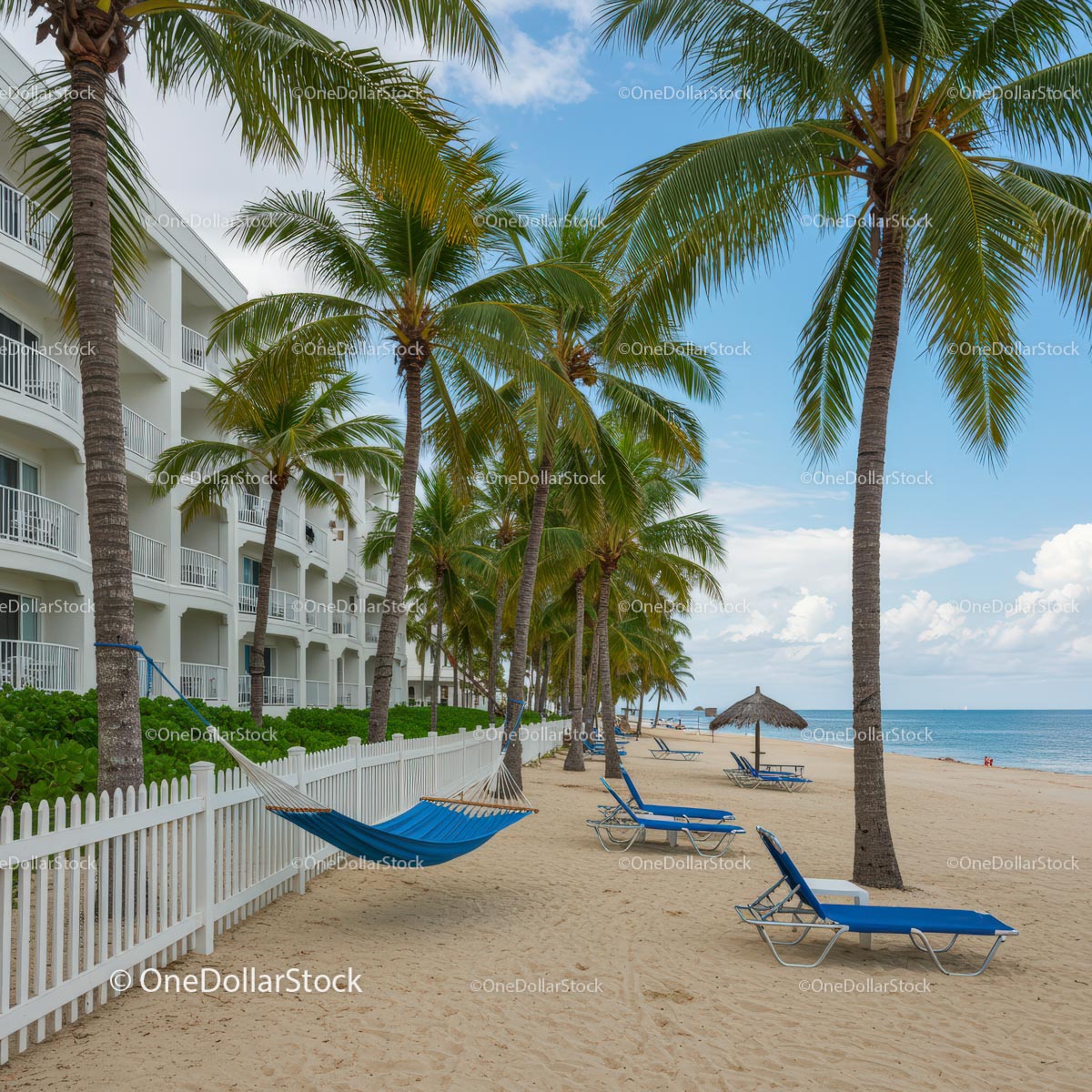 Tropical Paradise with Palm Trees and Ocean View