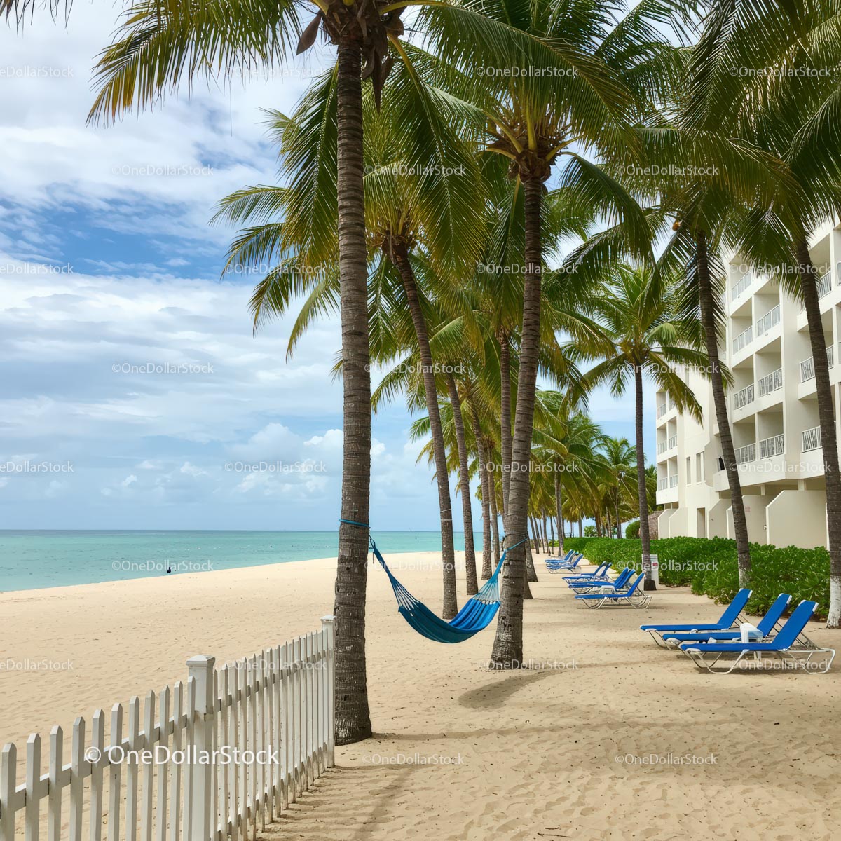 Tropical Beach with Palm Trees and Hammock