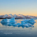 Icebergs Floating at Sunset Against Snowy Mountains
