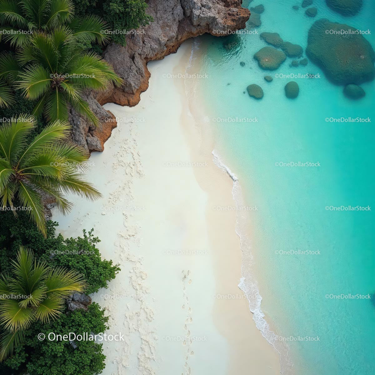 Aerial View of Tropical Beach with Lush Palm Trees