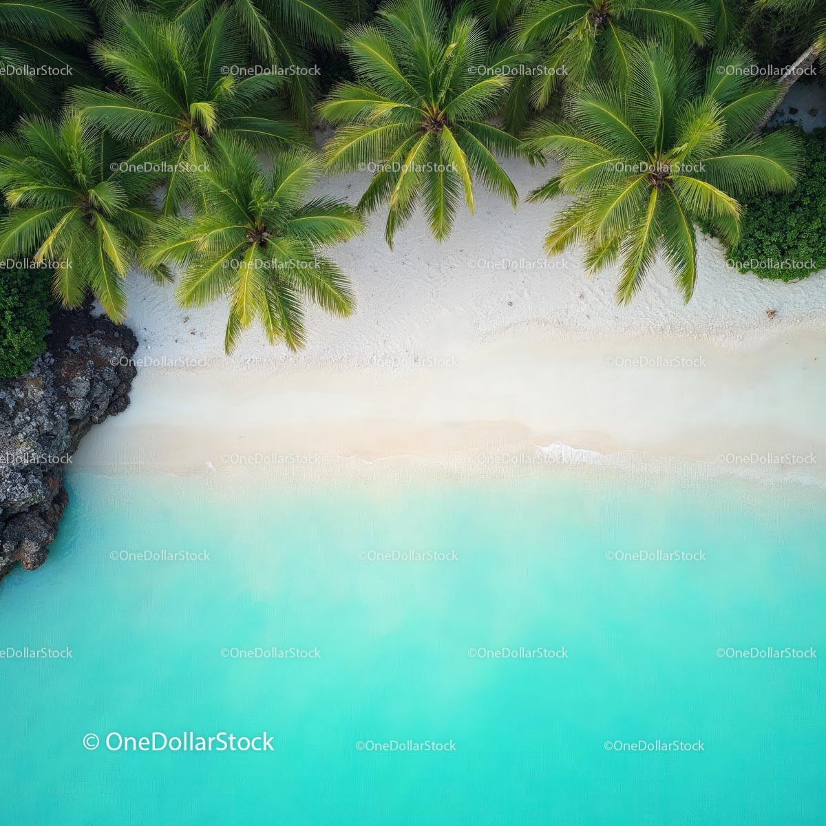 Aerial View of Tropical Beach with Palm Trees