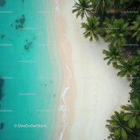 Aerial View of Tropical Beach with Turquoise Waters