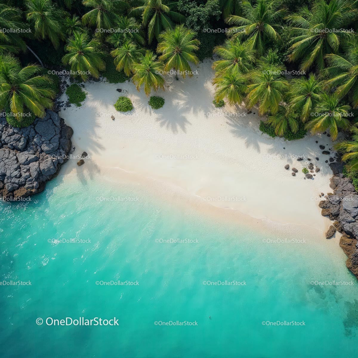 Aerial View of Tropical Beach with Palm Trees and Turquoise Sea