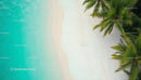Aerial View of Tropical Beach with Palm Trees and Turquoise Waters
