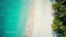 Aerial View of Turquoise Waters and Palm-Lined Beach