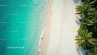 Aerial View of Turquoise Waters and Palm-Lined Beach