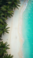 Aerial View of Tropical Beach with Palm Trees and Turquoise Water