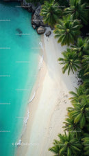 Aerial View of Tropical Beach with Palm Trees and Turquoise Water