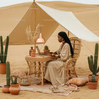 Woman Working on Laptop in Desert Oasis