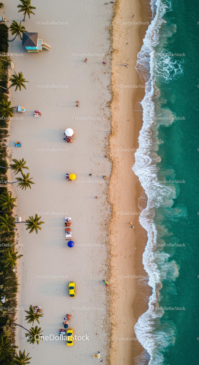 Aerial View of Tropical Beach with Palm Trees and Umbrellas