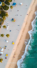 Aerial View of Tropical Beach with Palm Trees and Clear Water