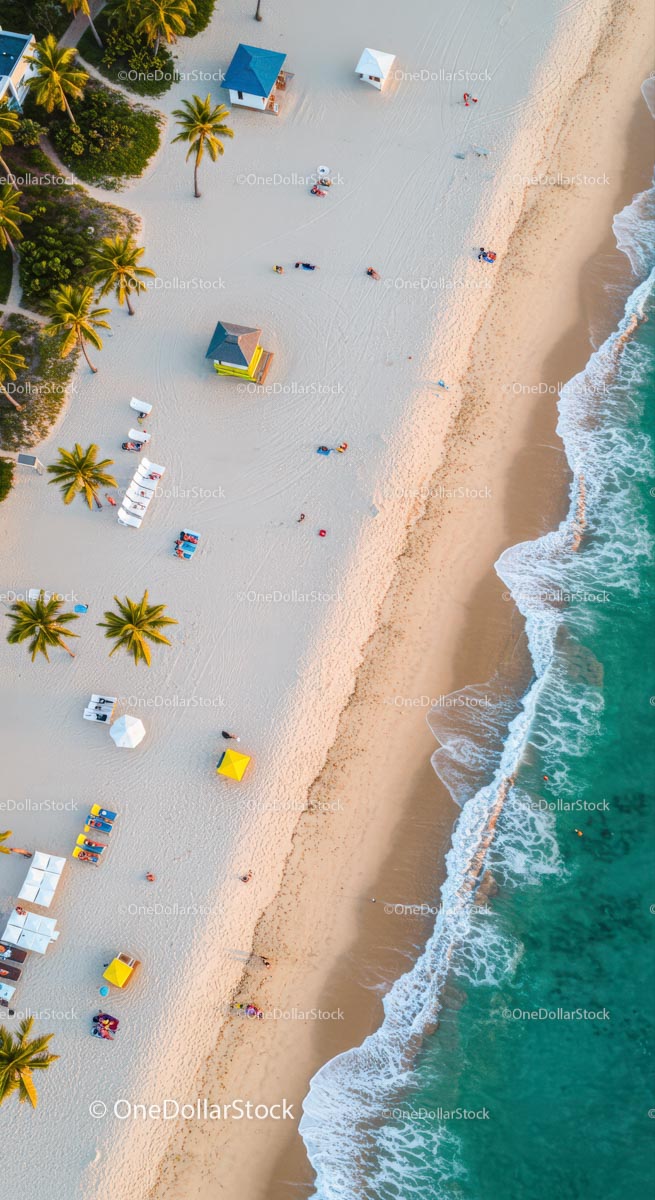 Aerial View of Tropical Beach with Palm Trees and Clear Water