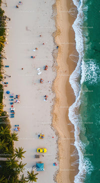Aerial View of a Tropical Beach with Palm Trees and Turquoise Ocean