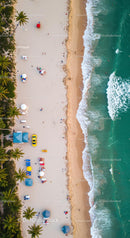 Aerial View of Sandy Beach with Palm Trees and Ocean Waves