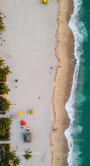 Aerial View of Sandy Beach with Palm Trees and Ocean Waves