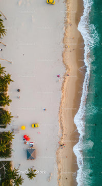 Aerial View of Sandy Beach with Palm Trees and Ocean Waves