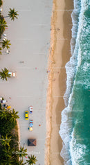 Aerial View of Tropical Beach with Palm Trees and Ocean Waves