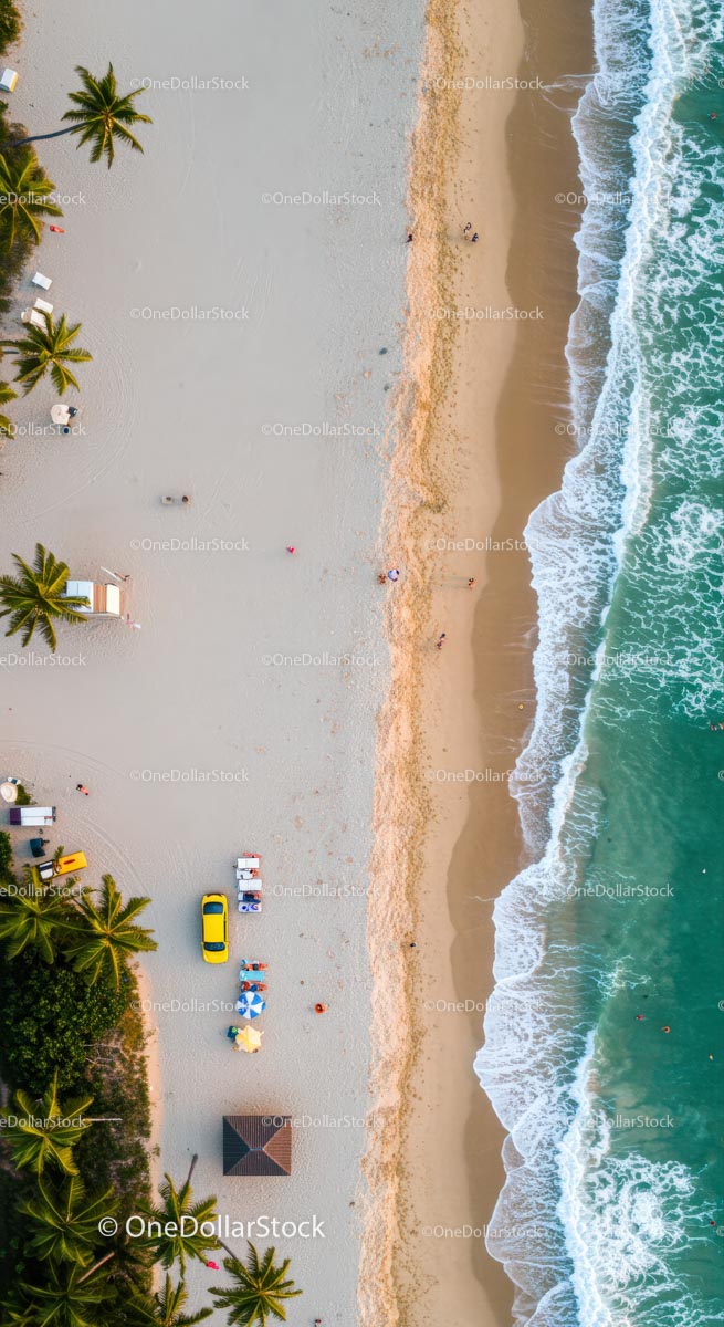 Aerial View of Tropical Beach with Palm Trees and Ocean Waves