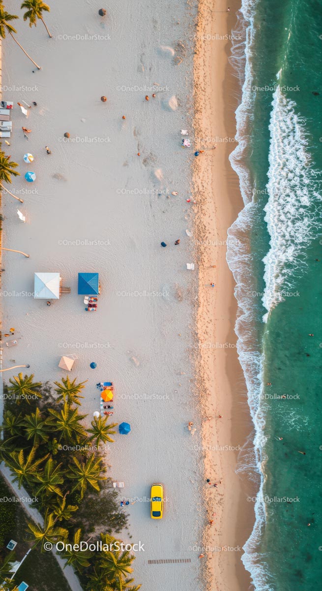Aerial View of Tropical Beach with Palm Trees and Yellow Car