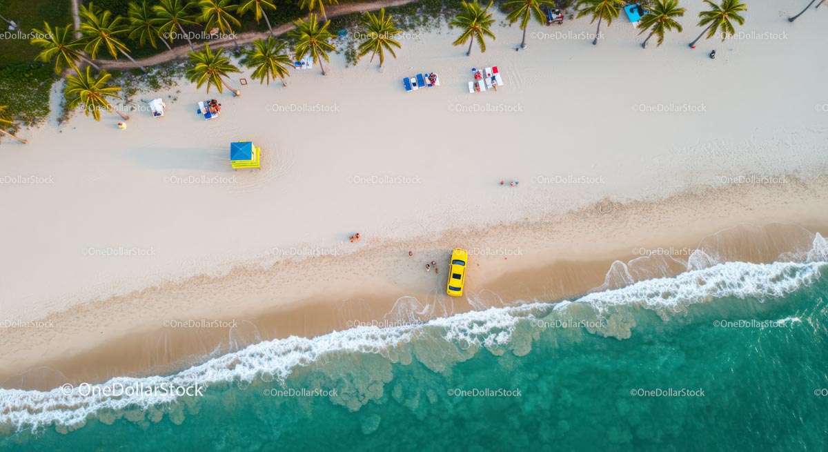 Aerial View of Pristine Tropical Beach with Palm Trees