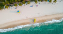 Aerial View of Pristine Tropical Beach with Palm Trees