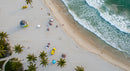 Aerial View of Scenic Tropical Beach with Palms and Waves